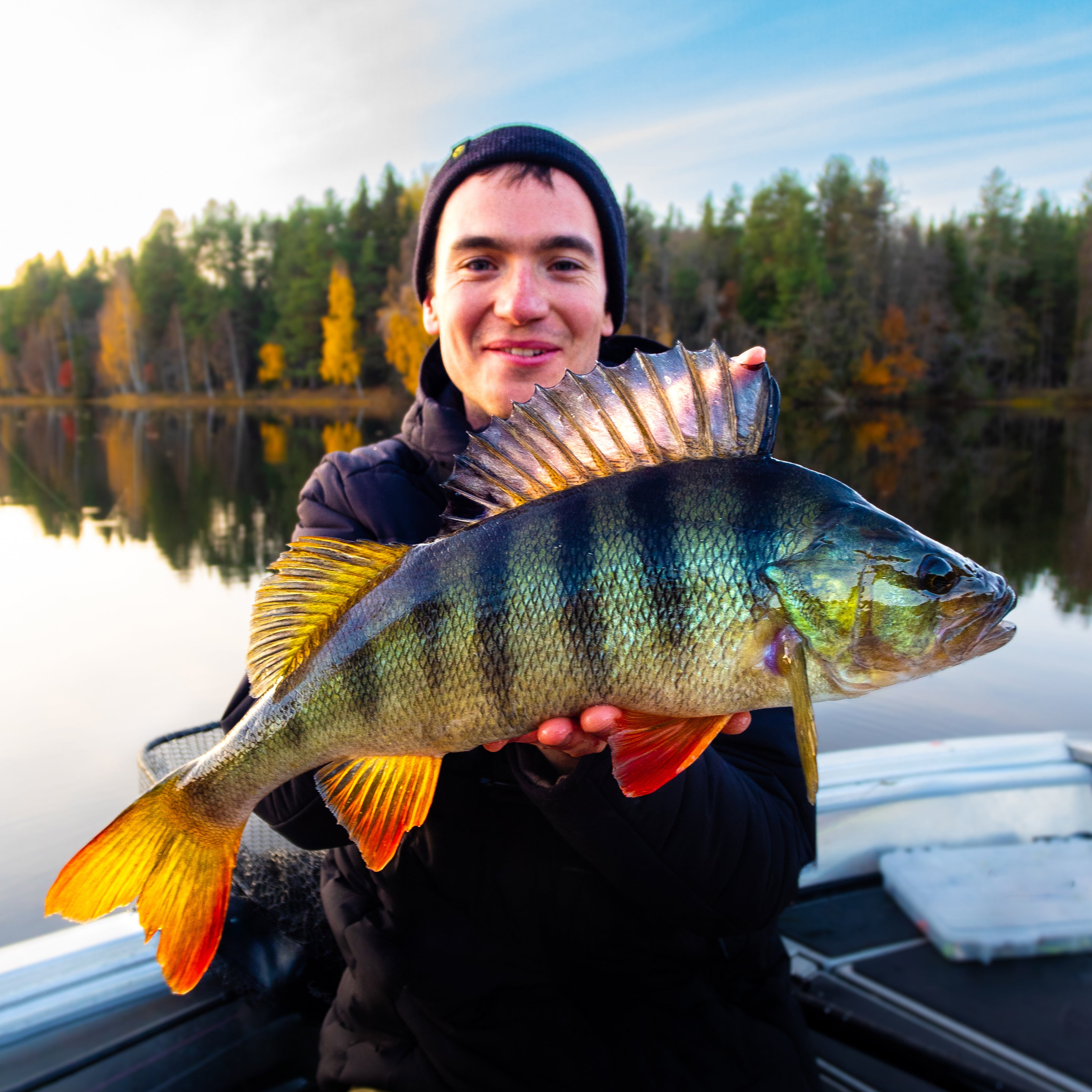Light Lure Rod