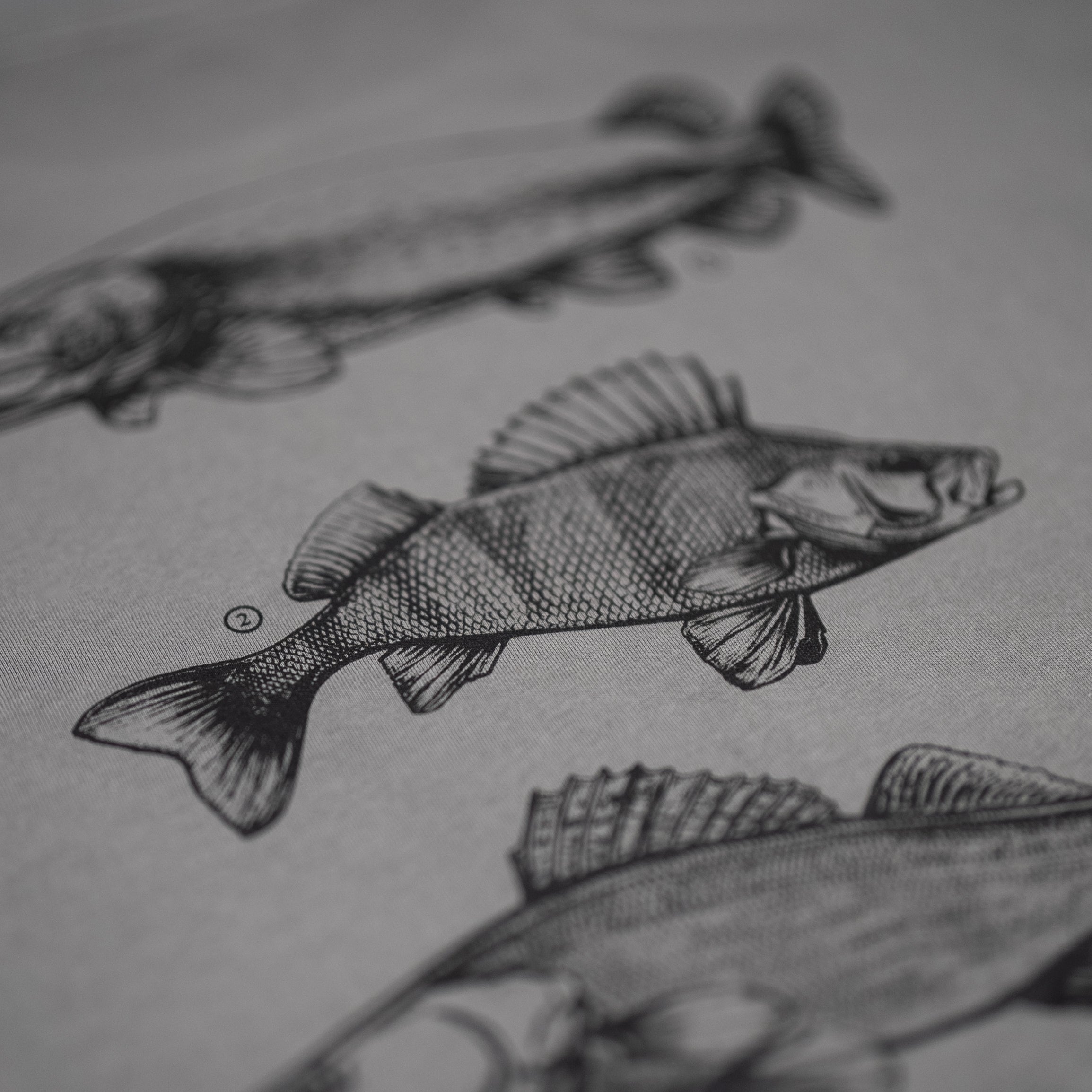 Fish Art Tee - Perch Pike Zander