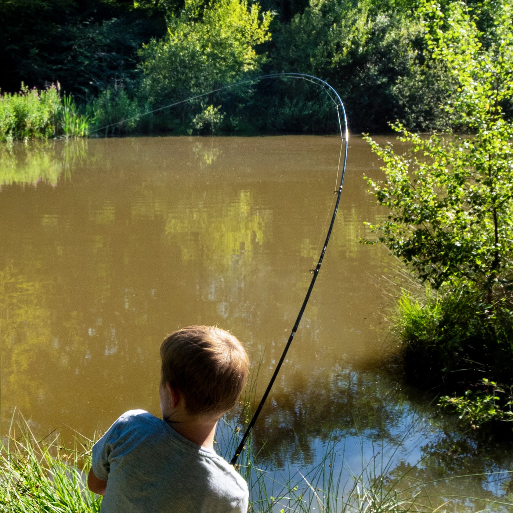 Float + Feeder Combo Rod