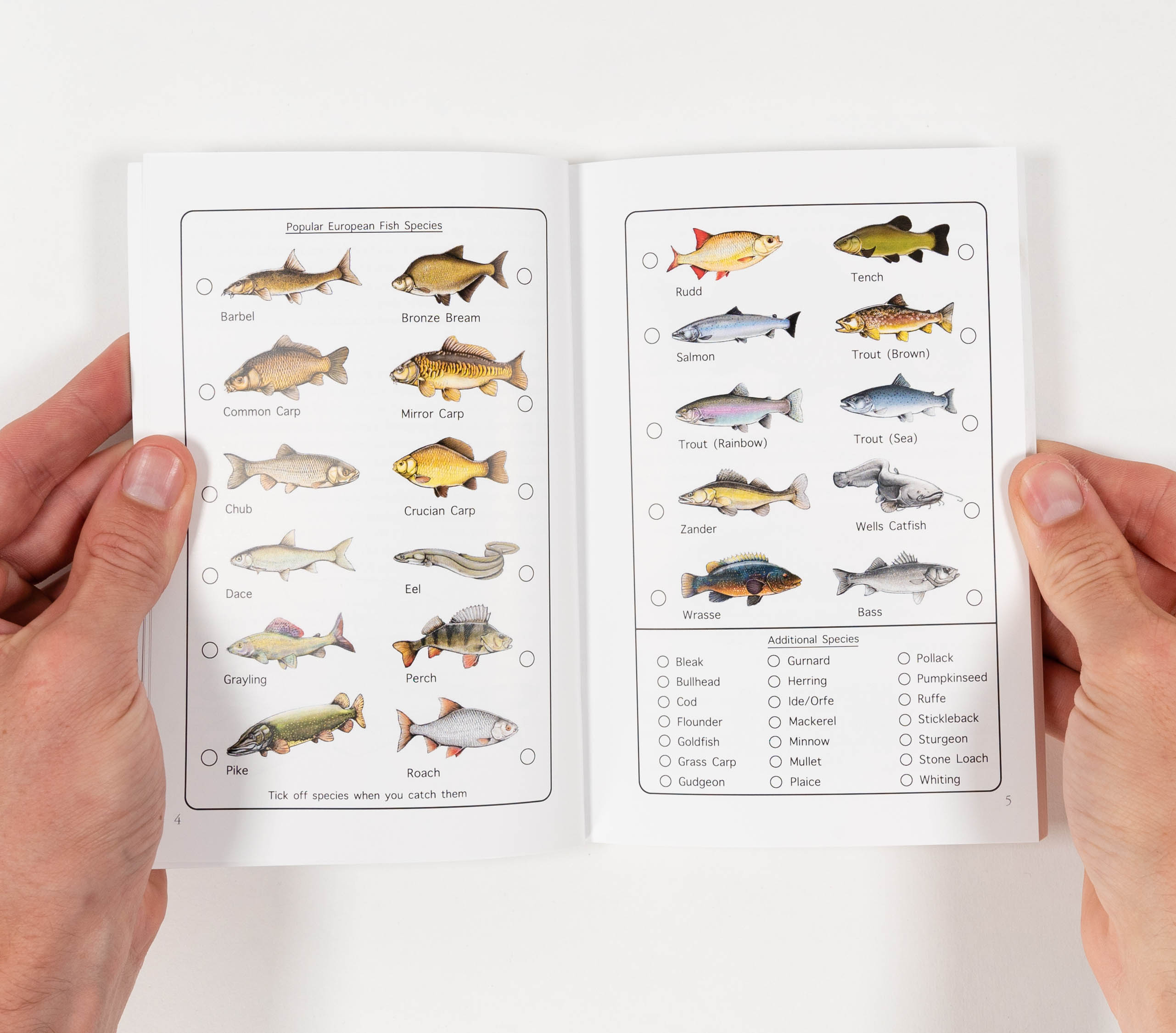 The Simple Fishing Guidebook