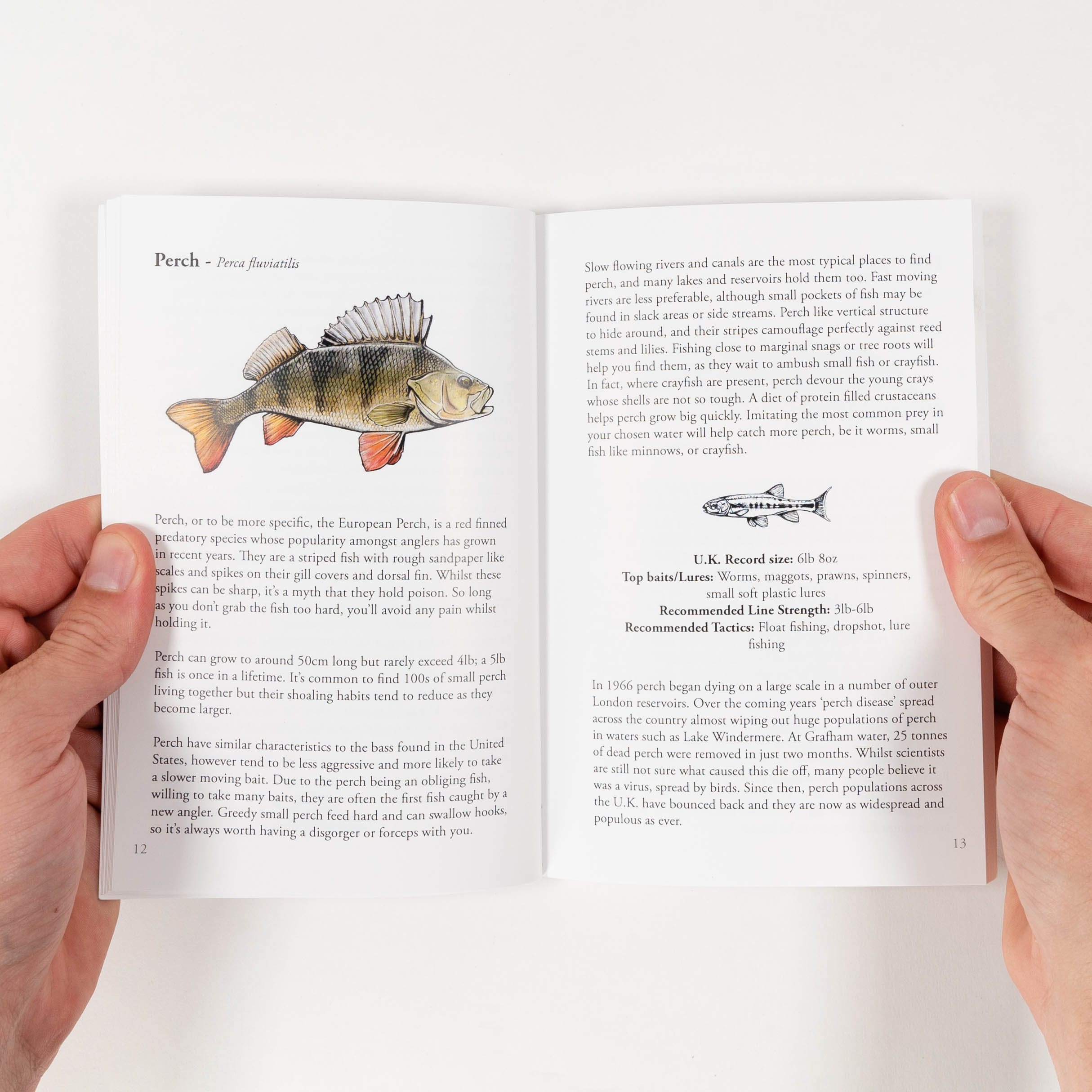 The Simple Fishing Guidebook