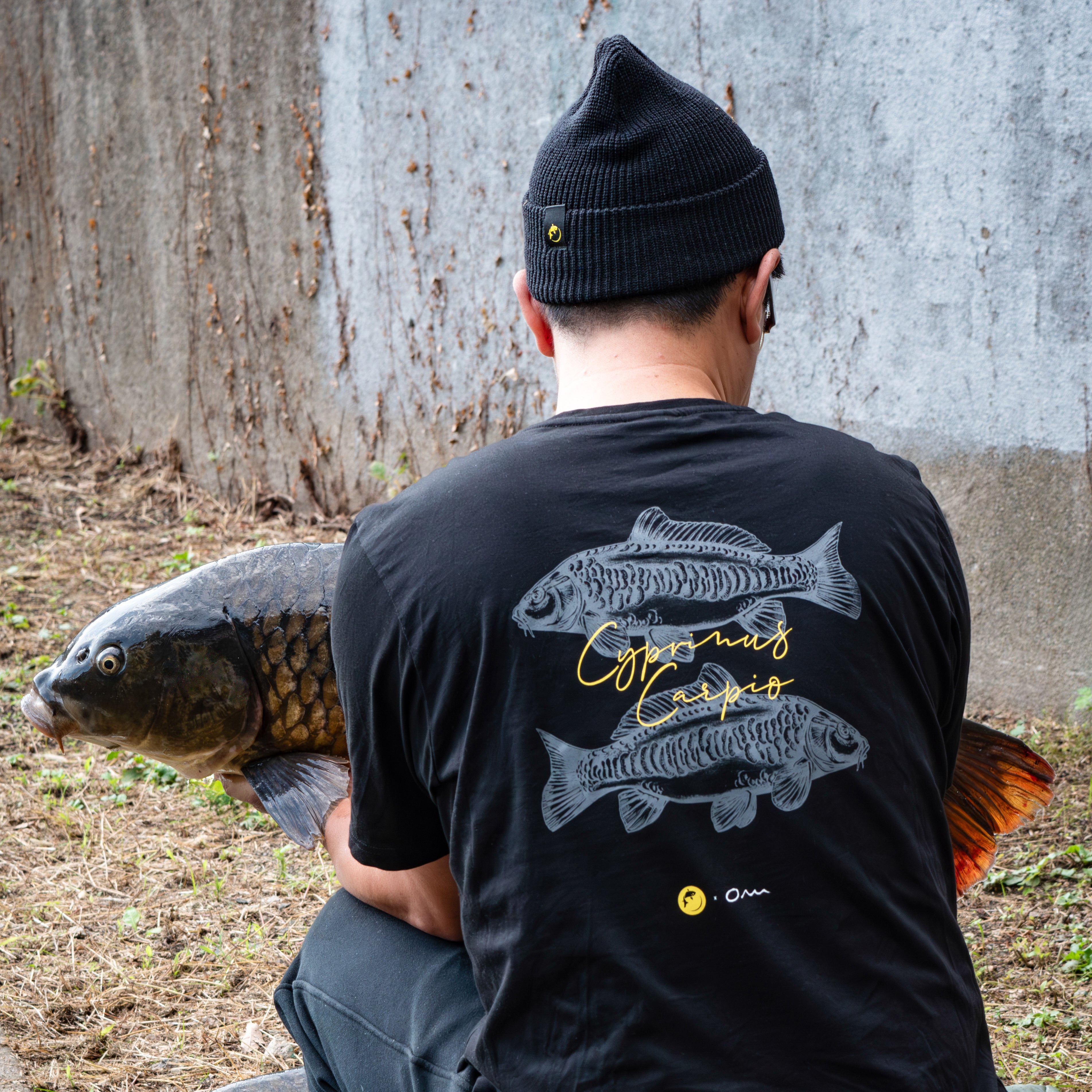 Fish Art Tee - Mirror Carp