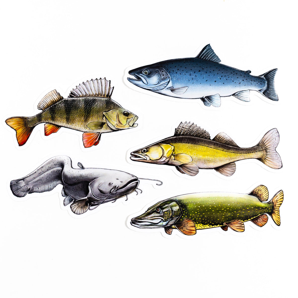 Fisch Sticker Fish Sticker Pack