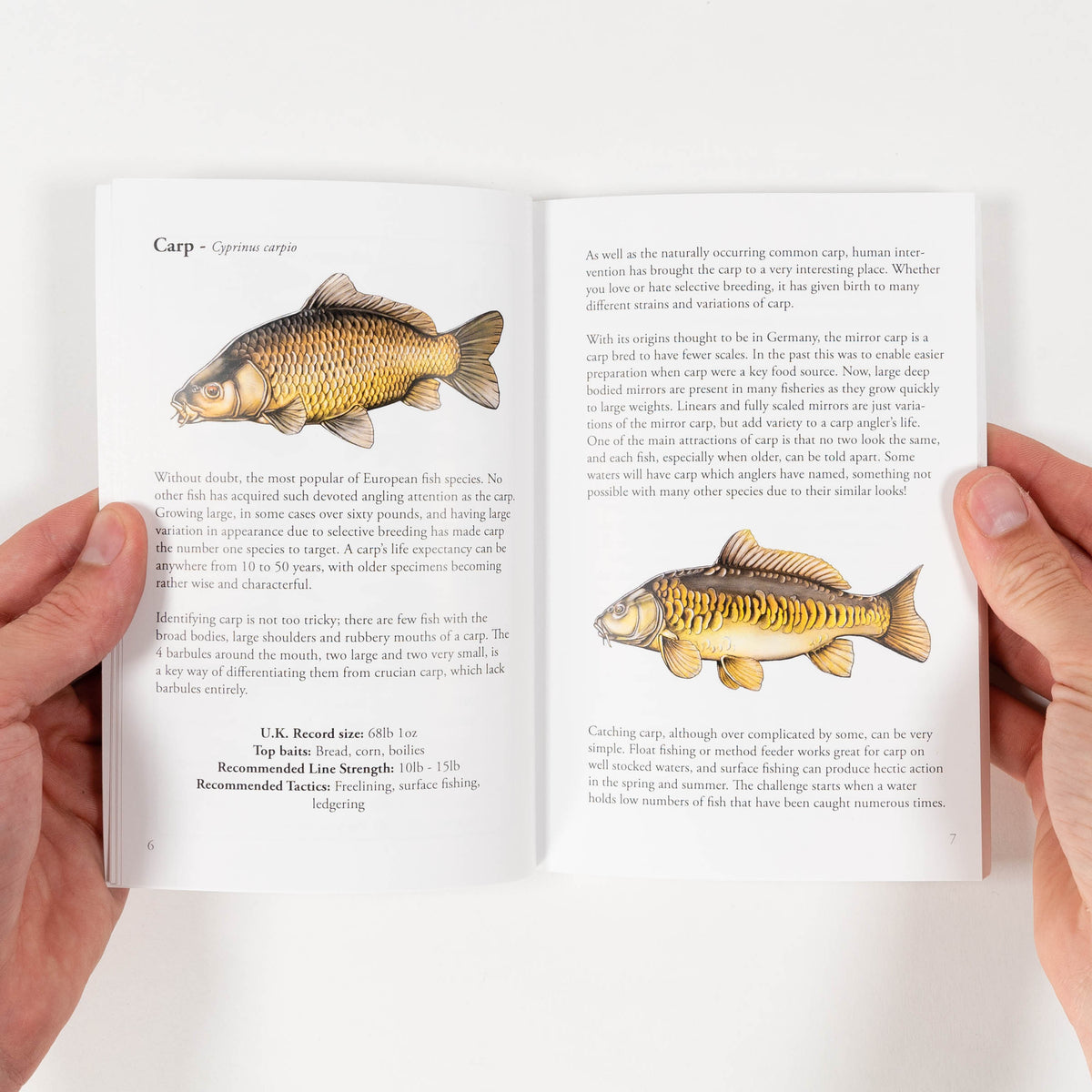 Commentary Fishing Example The Simple Fishing Guidebook
