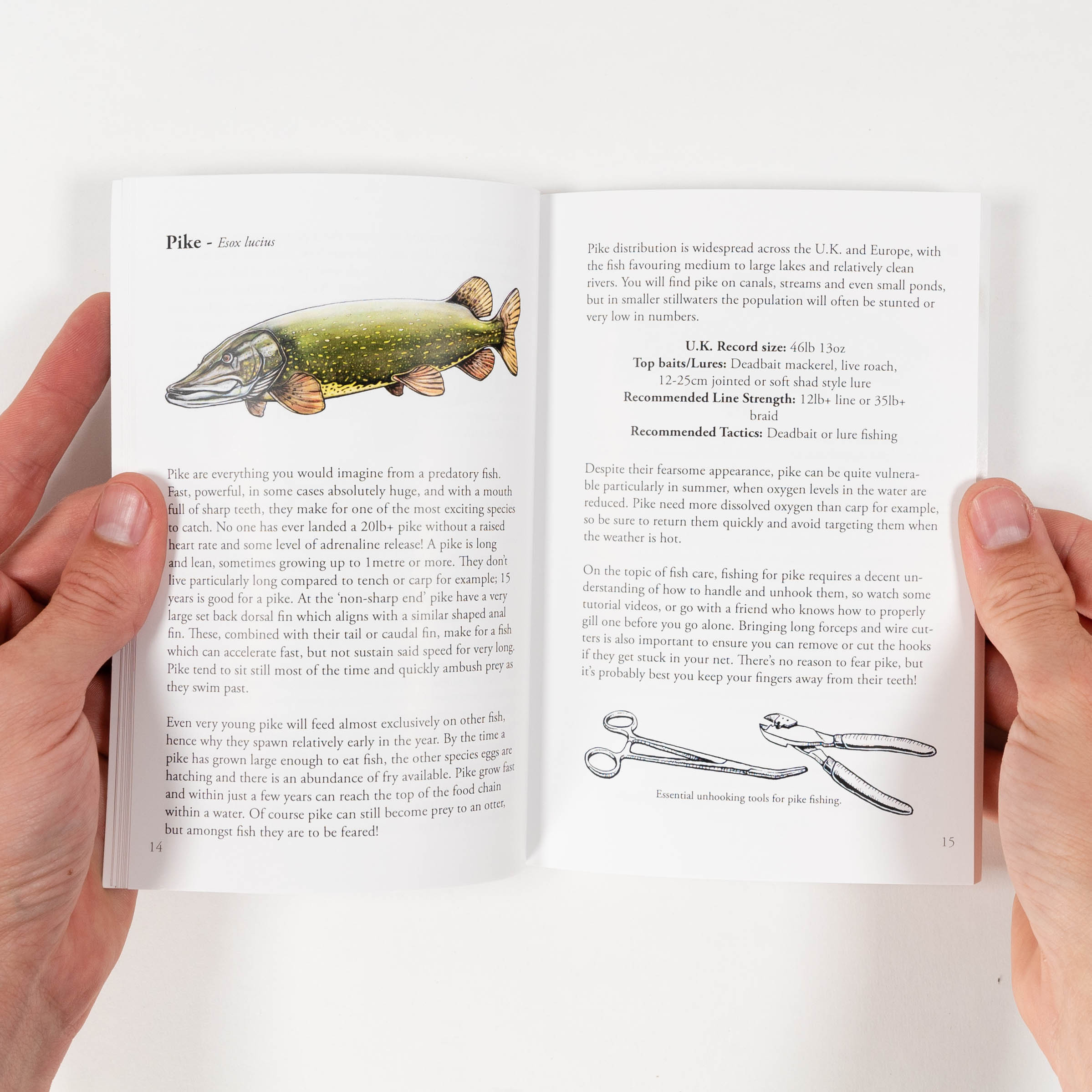 The Simple Fishing Guidebook